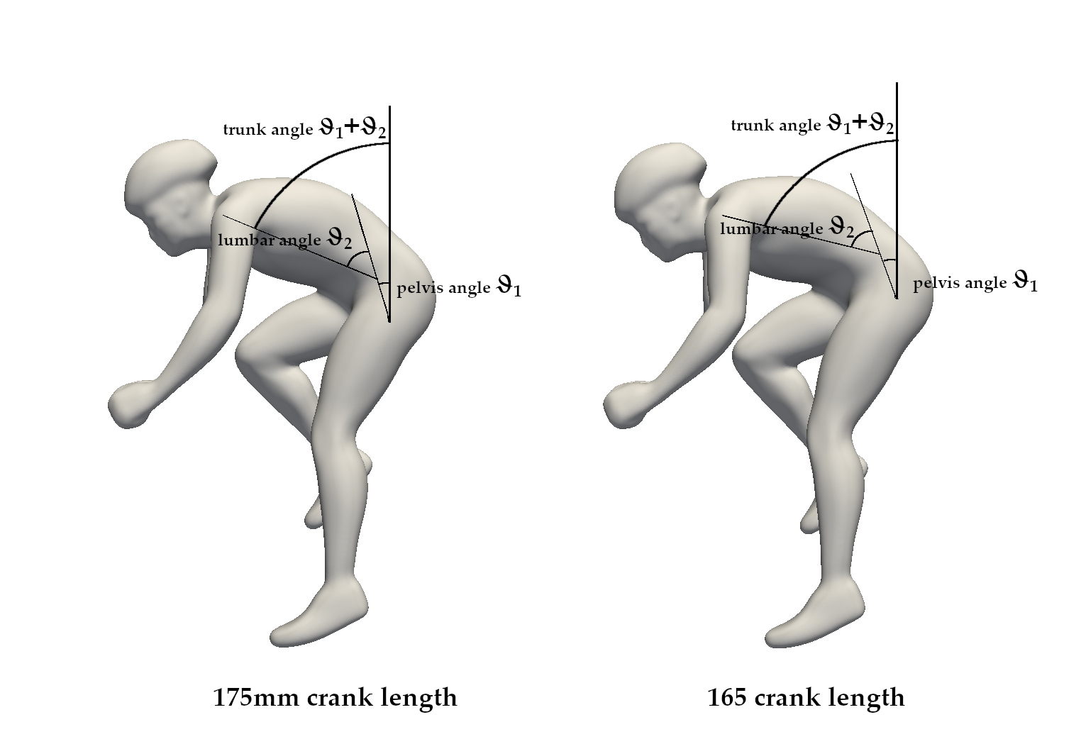 torso_inclination