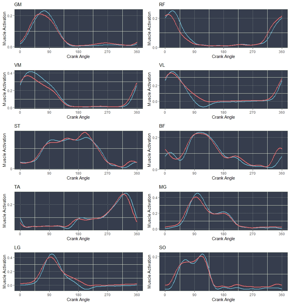 muscles activation charts